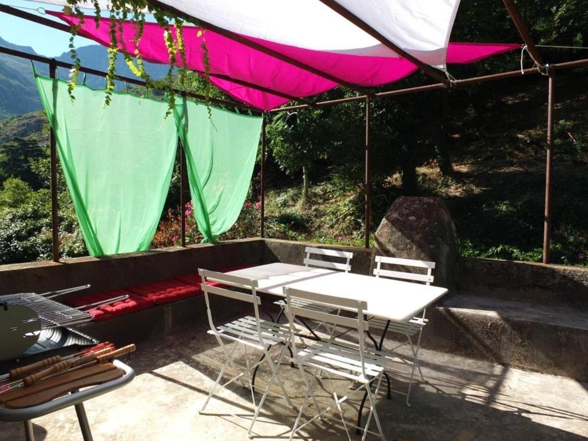 Appartement Raffine A Feliceto 120 M² Avec Vue Sur Montagne Dış mekan fotoğraf
