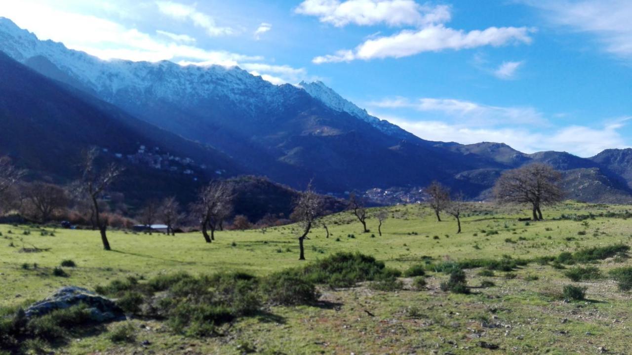 Appartement Raffine A Feliceto 120 M² Avec Vue Sur Montagne Dış mekan fotoğraf