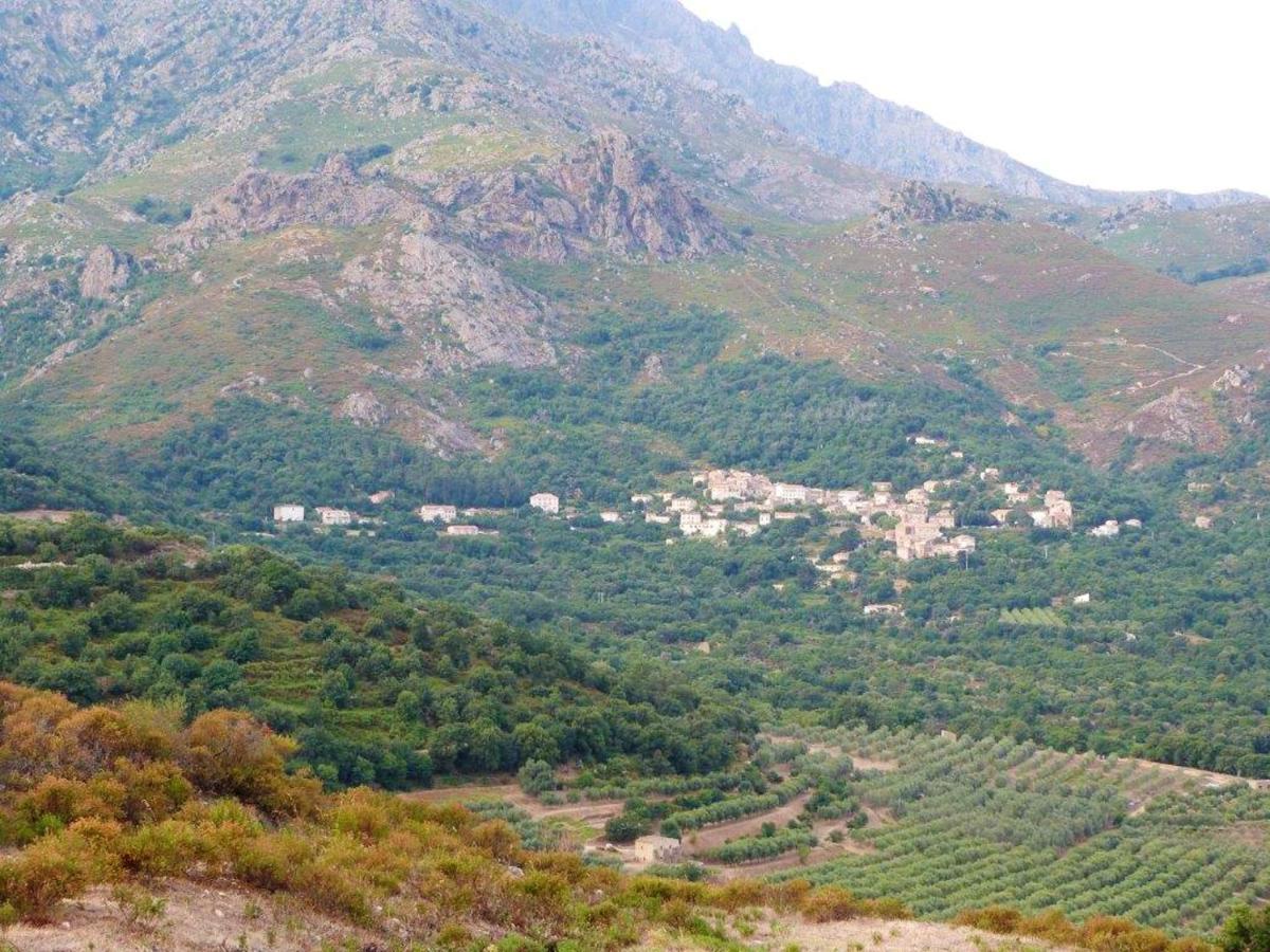 Appartement Raffine A Feliceto 120 M² Avec Vue Sur Montagne Dış mekan fotoğraf