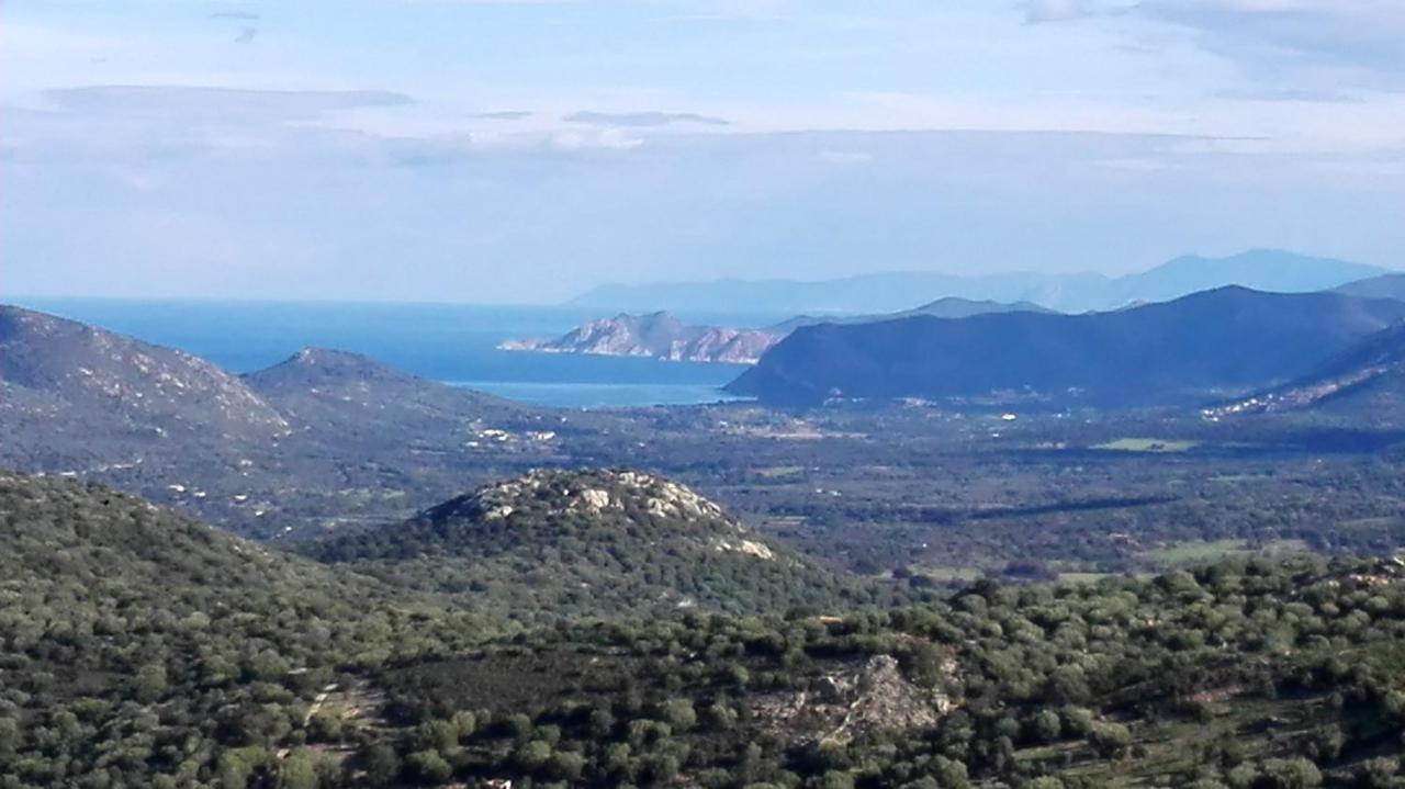 Appartement Raffine A Feliceto 120 M² Avec Vue Sur Montagne Dış mekan fotoğraf